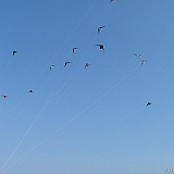 Penvins-festival -2006 -0162